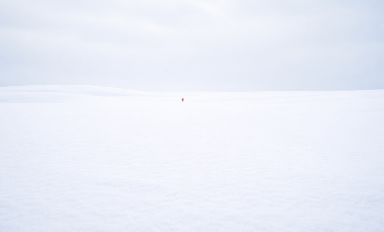 雪の日、なぜ赤い帽子は美しいのかのイメージ画像