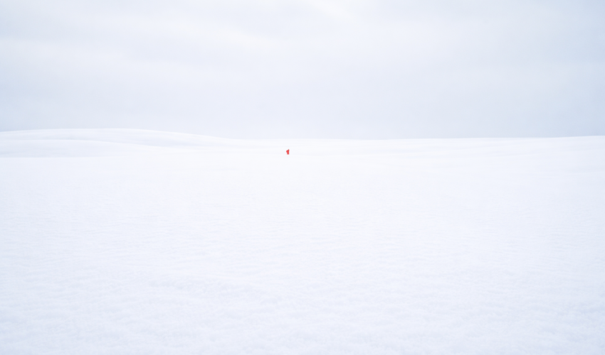 雪の日、なぜ赤い帽子は美しいのかのイメージ画像